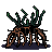Mangrove Tree